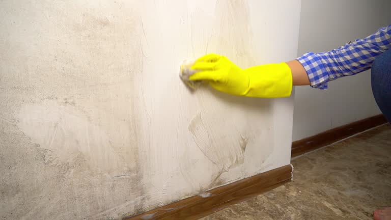 Best Commercial Mold Inspection  in USA